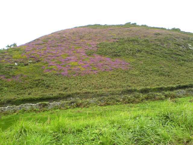 Blühender Berg Blühender Berg