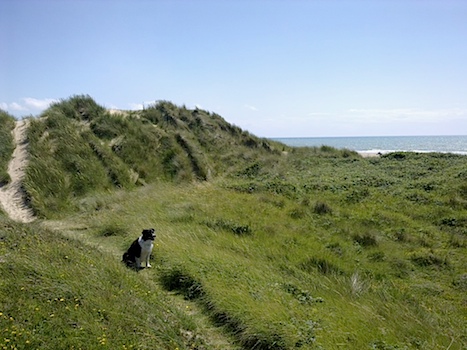 Lindbergh Strand